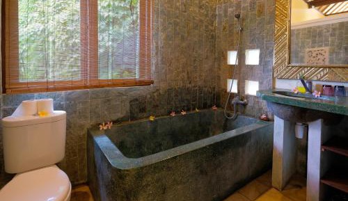 Apartment with Mountain View