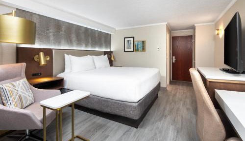 King Room - High Floor - Non-Smoking