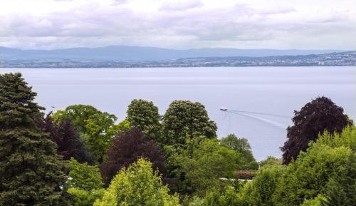 Deluxe Room with Lake View