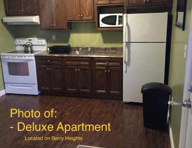 Deluxe Apartment