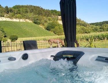 Suite with Garden View