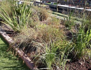 Quadruple Room with Terrace