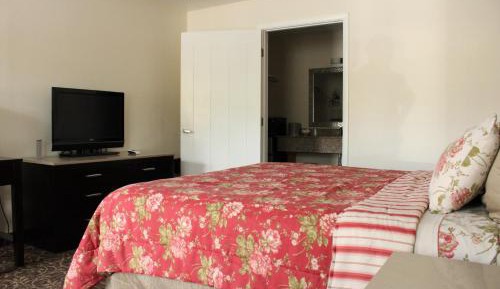 Studio - Disability Access