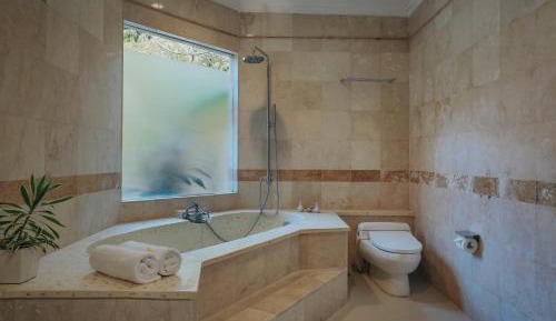 One-Bedroom Executive Private Pool Villa 