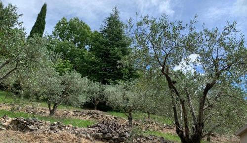 Apartment with Terrace