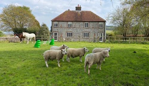 Deluxe Double Room with Bath