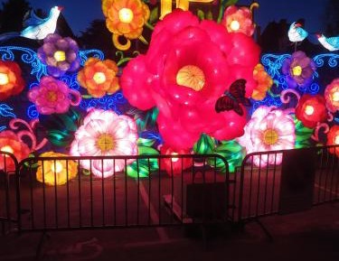 Junior Suite with Garden View