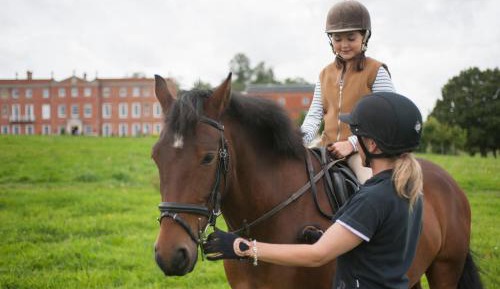  Mews Deluxe Accessible Room King Bed