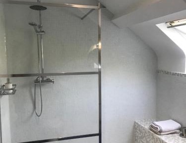 Family Room with Shower