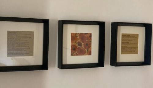 Apartment - Split Level