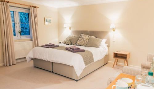 Superior Deluxe Double or Twin Room 