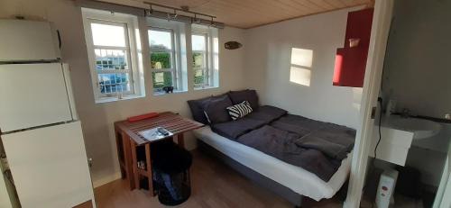 Studio with Sofa Bed