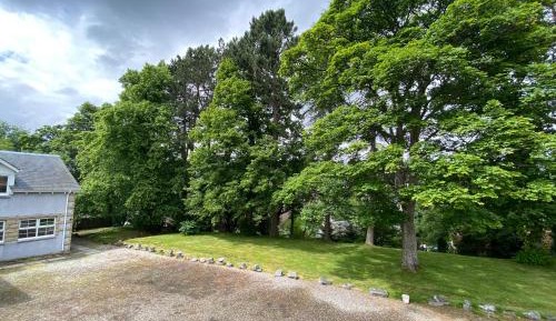 King Room with Mountain View