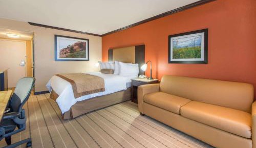 King Room with One King Bed and Sofa Bed - Non-Smoking