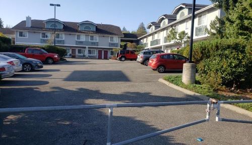 King Room - Pet Friendly