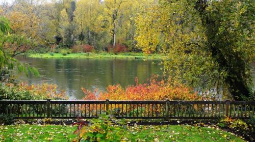 Standard King Room with River View