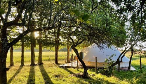  Luxury Tent Svalen