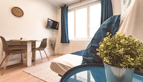 Studio with Sofa Bed