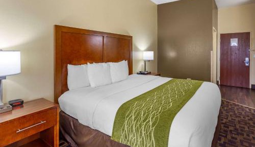 King Room with Roll-in Shower - Disability Access/Non-Smoking