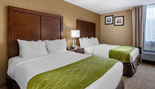 Double Room - Non-Smoking 