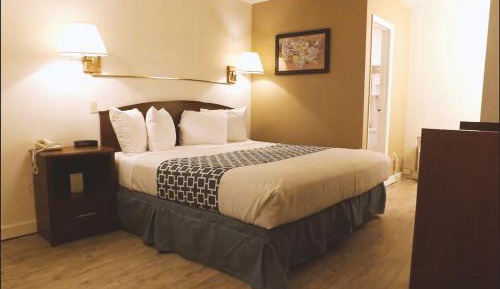 Deluxe King Room