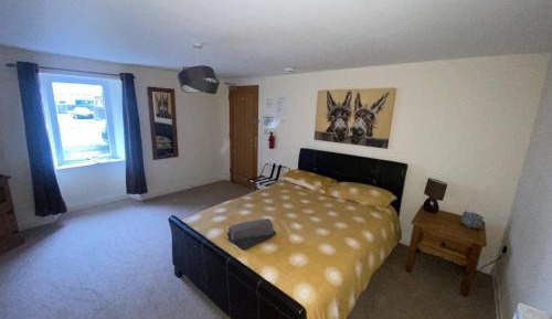 Double Room with Shared Bathroom