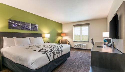 King Room - Non-Smoking