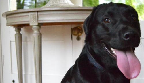 Classic Double or Twin Room