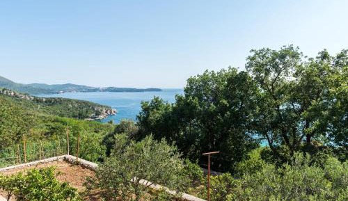 Studio with Terrace and Sea View (2 Adults)