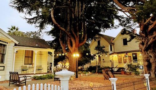 Bed in 6-Bed Mixed Dormitory Room