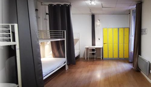 Bunk Bed in Mixed Dormitory Room with Shared Bathroom