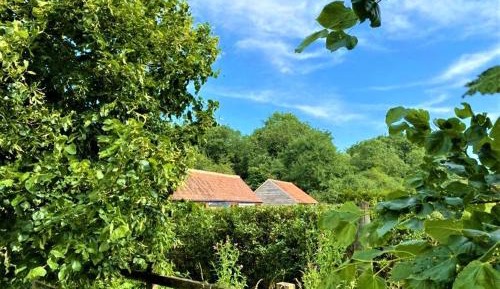 Apartment with Garden View