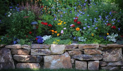 King Room with Roll-In Shower - Disability Access
