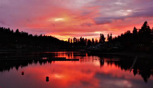 Queen Room with Lake View