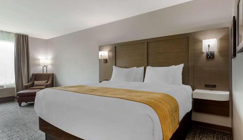 Standard King Room - Non Smoking