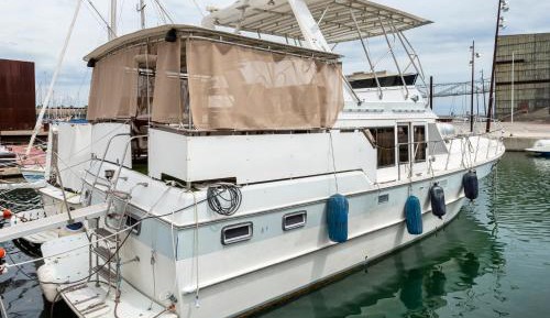 Boat (4 Adults)