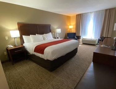 Standard King Room - Non Smoking