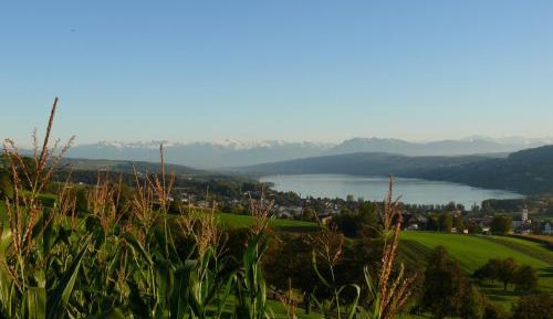 Double Room with Lake View