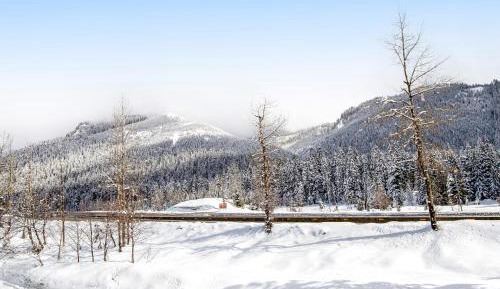 one bedroom holiday home