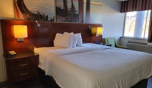 King Room with Mobility Accessible Bath Tub with Grab Bars - Non-Smoking