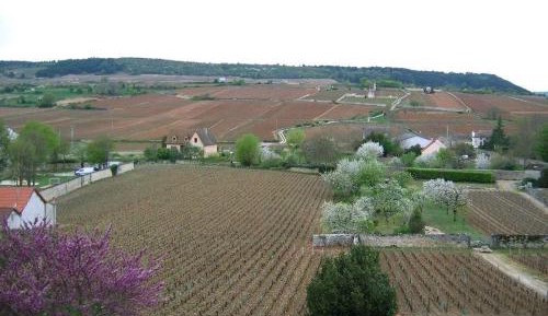 Four-Bedroom Vacation Home