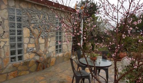 Suite with Garden View
