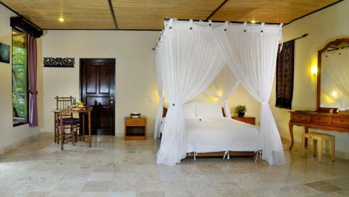 Large Double or Twin Room