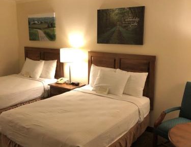 Standard Double Room with Two Double Beds