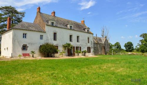 Studio - Split Level