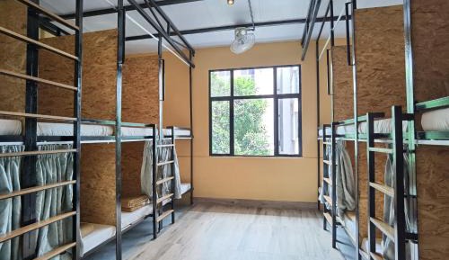 Bunk Bed in Female Dormitory Room  