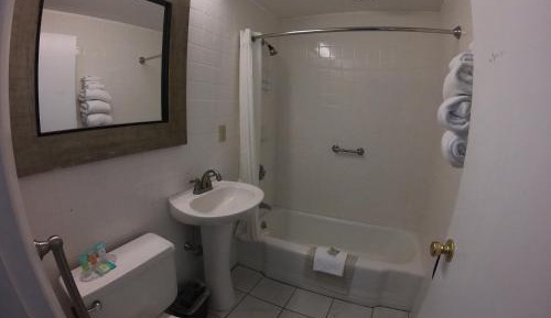 Regular Room with River View