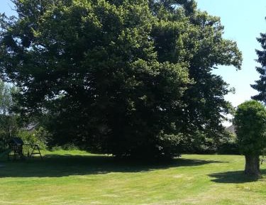 Double Room with Park View