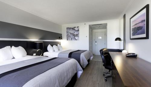 Standard Room with Two Queen Beds