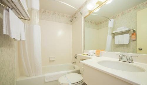 Standard Room with Queen Bed